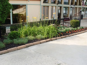 Front Gardnes at Riverside