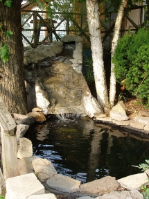 Fish Pond at Riverside