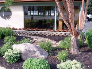 Front Gardens at Riverside