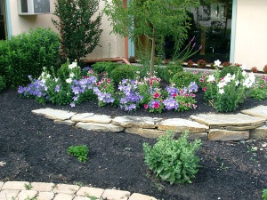 Front Gardens at Riverside